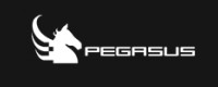The Pegasus Company Group